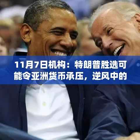 项目介绍 第693页