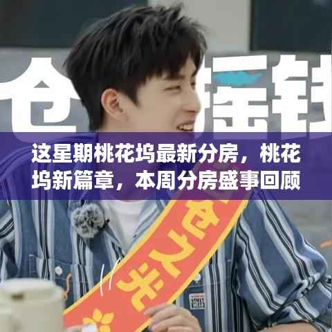 桃花坞新篇章,本周分房盛事回顾与影响分析