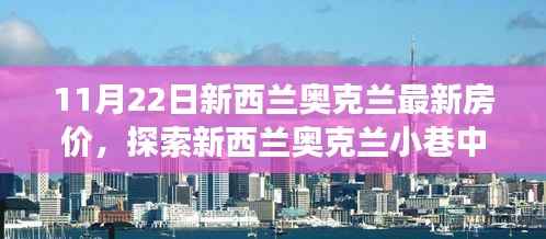 新西兰奥克兰最新房价揭秘，小巷宝藏与独特小店的奇妙故事