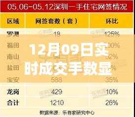 12月09日实时成交手数显示异常的技术分析与解决建议
