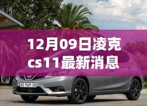 小家碧玉 第3页