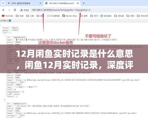 闲鱼12月实时记录深度解析与评测，了解背后的故事与细节
