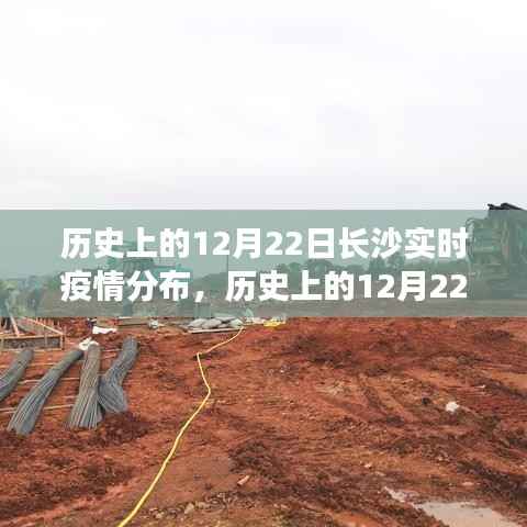 历史上的长沙疫情分布深度解析,以长沙实时疫情分布为例的案例分析与探究(深度解析与案例探究)