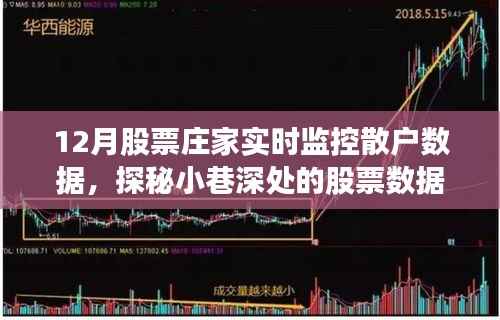 揭秘庄家实时监控散户数据的神秘面纱,股票数据洞察圣地深度探索(12月专稿)