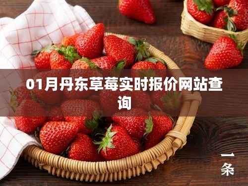 企业优势 第268页