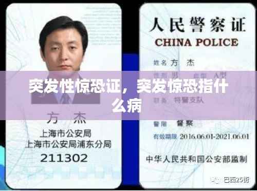 突发性惊恐证，突发惊恐指什么病 