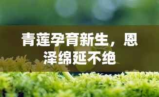 青莲孕育新生,恩泽绵延不绝
