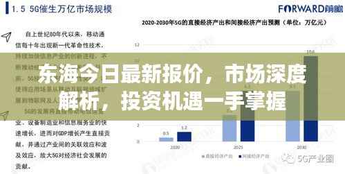 东海今日最新报价，市场深度解析，投资机遇一手掌握
