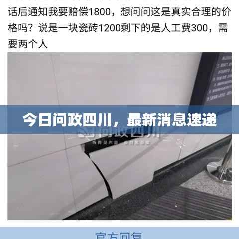 望其项背 第2页