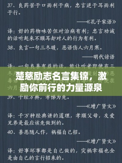 物以稀为贵 第2页